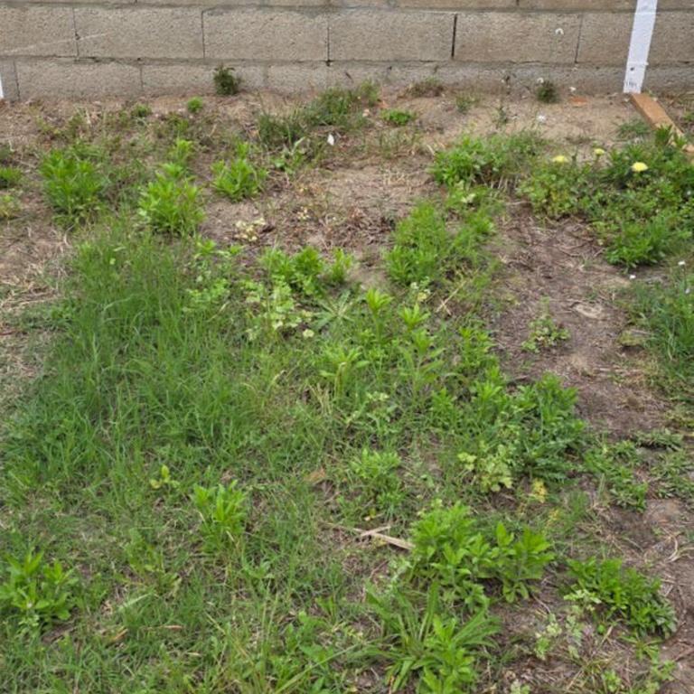 LE BARCARES - logement "Embrun" climatisé 2 chambres avec terrasse - plage, village de Noëlet commerces à pied - parking - 4 personnes - chien accepté - Apartamento de 2 dormitorios - 17