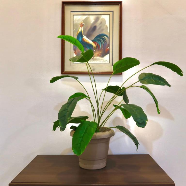 Historic Centro Home, Near to Montejo 3BR - Casa - 26