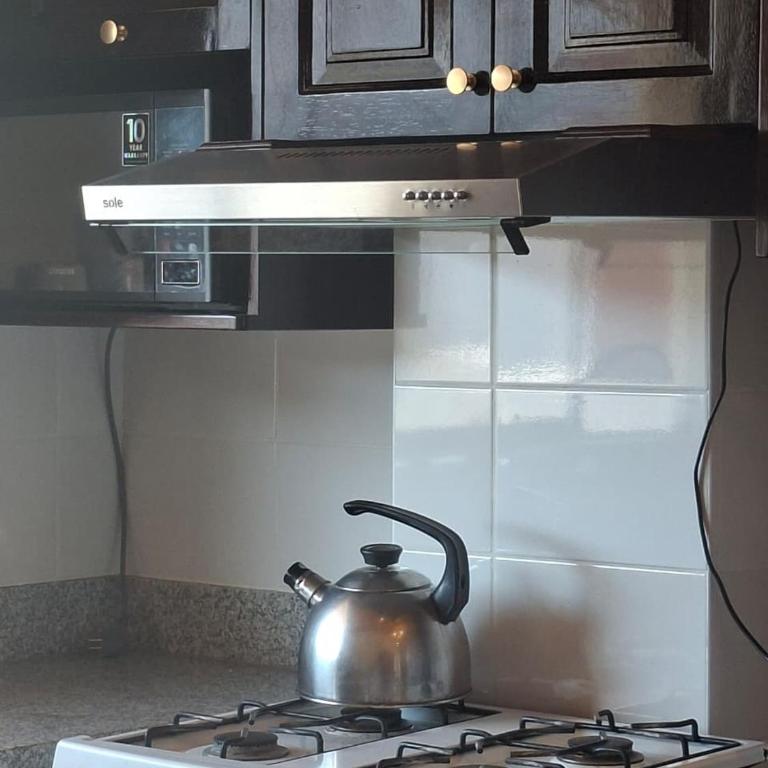 Buena Vista Terrace & Wood - One-Bedroom Apartment - 25