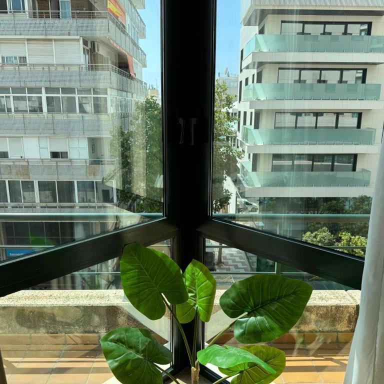 Lujoso Apartamento Marques de Salamanca Marbella Centro - Apartamento de 1 dormitorio - 9