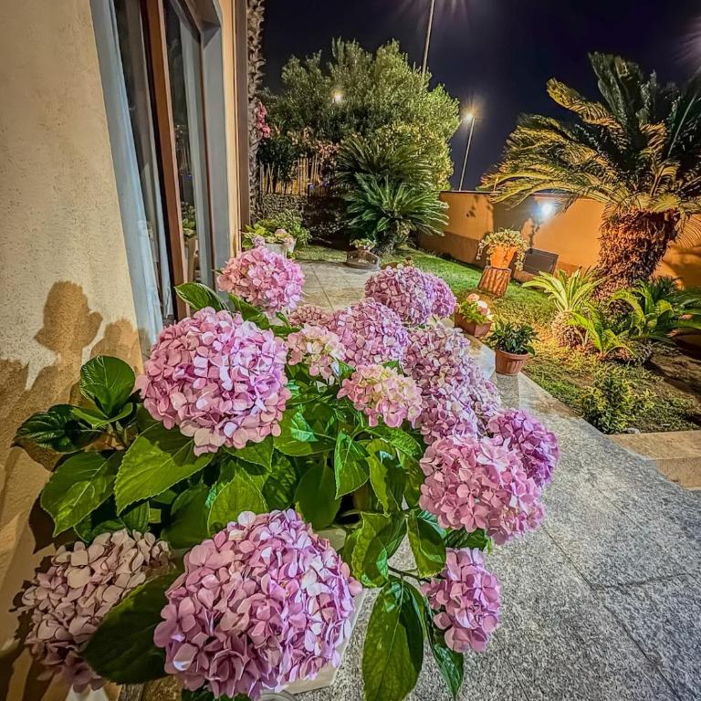 Poetto Sea View - Apartment mit 1 Schlafzimmer, Balkon und Meerblick - 22