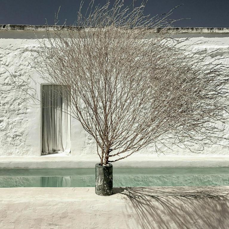 Designer trullo in Valle d'Itria Apulia - Casa Vacanze - 71