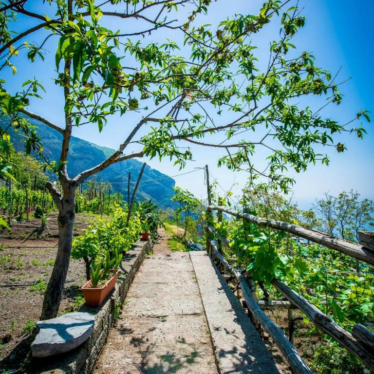 8th-century dwelling near Positano - Casa Vacanze - 21