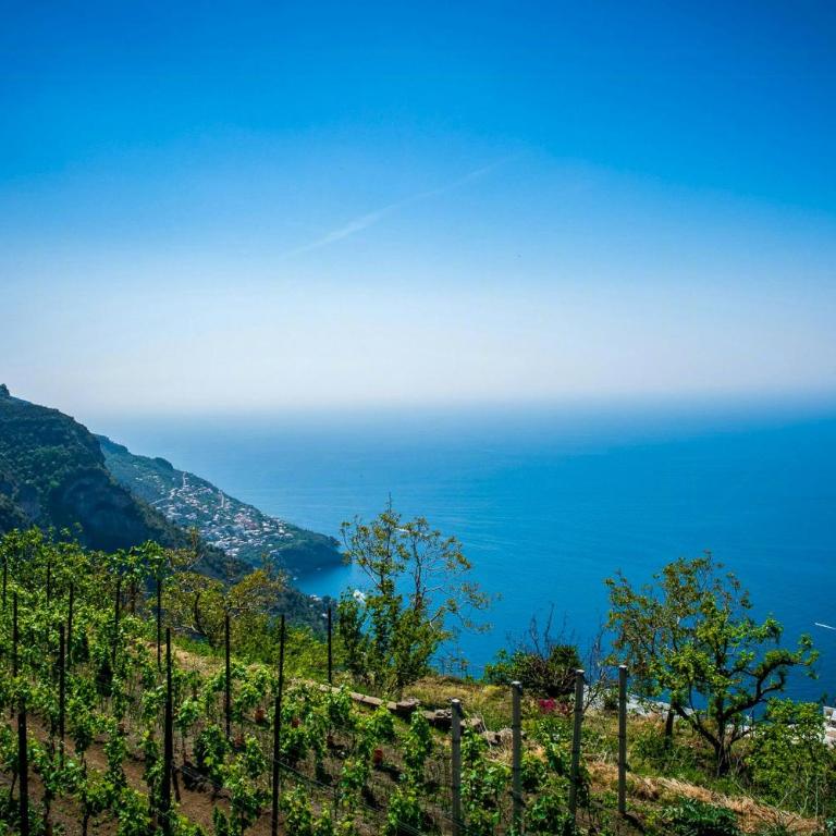 8th-century dwelling near Positano - Casa Vacanze - 22