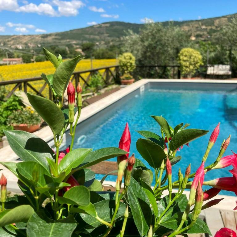 Pool villa with panoramic view in Cortona - Casa Vacanze - 29