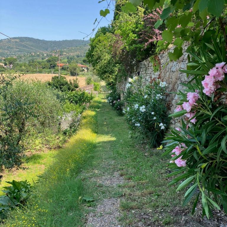 Pool villa with panoramic view in Cortona - Casa Vacanze - 46