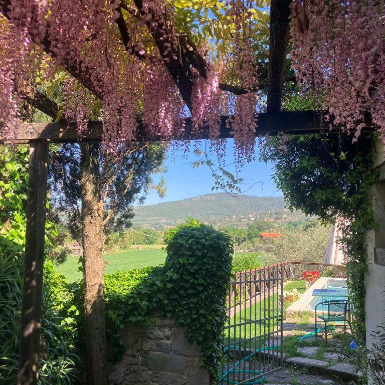Pool villa with panoramic view in Cortona - Casa Vacanze - 43