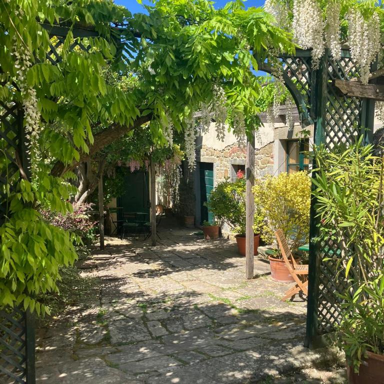 Pool villa with panoramic view in Cortona - Casa Vacanze - 44