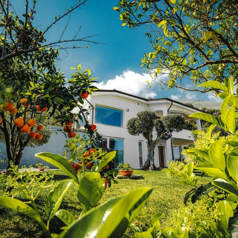 Sunlit gulffront villa with pool - Ferienhaus - 31