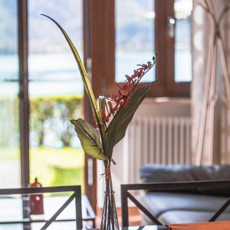 Serena Charme Green Holiday - Apartment - Ground Floor - 7
