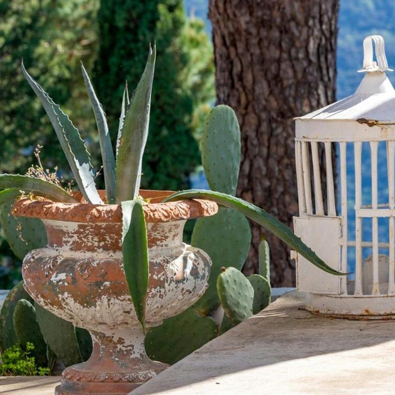 Ligurian villa with infinity pool and sea views - Casa Vacanze - 49