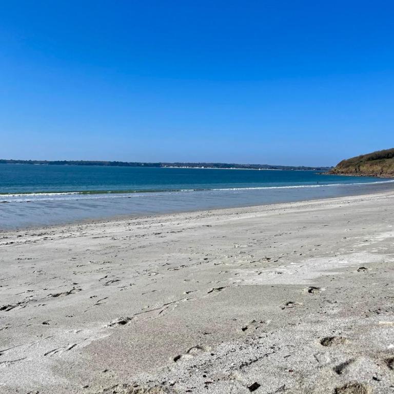 Appart lArchipel avec Balnéo, Hypercentre, Plage et Ville Close à pied - Appartement 1 Chambre - 44
