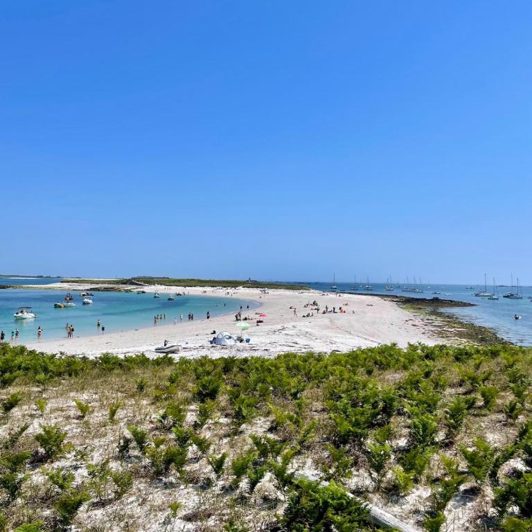 Appart lArchipel avec Balnéo, Hypercentre, Plage et Ville Close à pied - Appartement 1 Chambre - 30