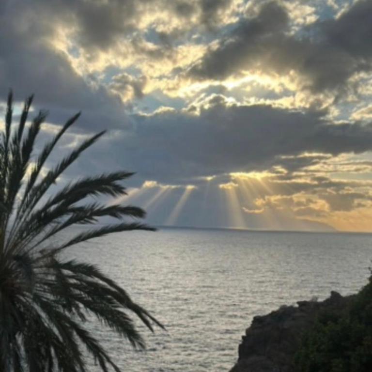 Marazul Sunset - Studio - 9
