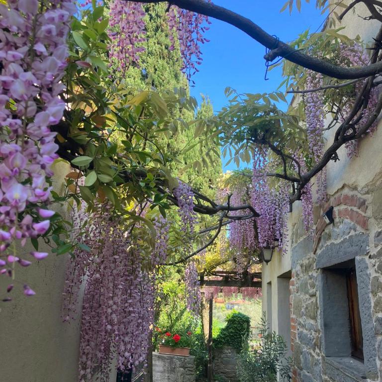 Big Villa with pool in the Cortona countryside - Casa Vacanze - 49