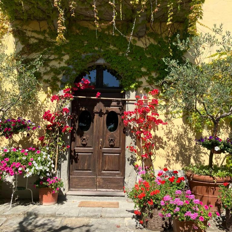 Big Villa with pool in the Cortona countryside - Casa Vacanze - 48
