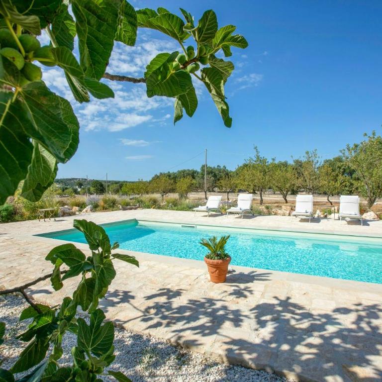Villa among olive trees private pool and patio - Casa Vacanze - 2