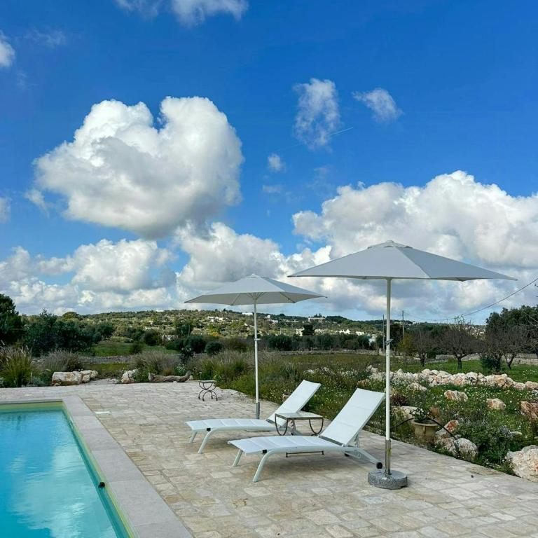 Villa among olive trees private pool and patio - Casa Vacanze - 28