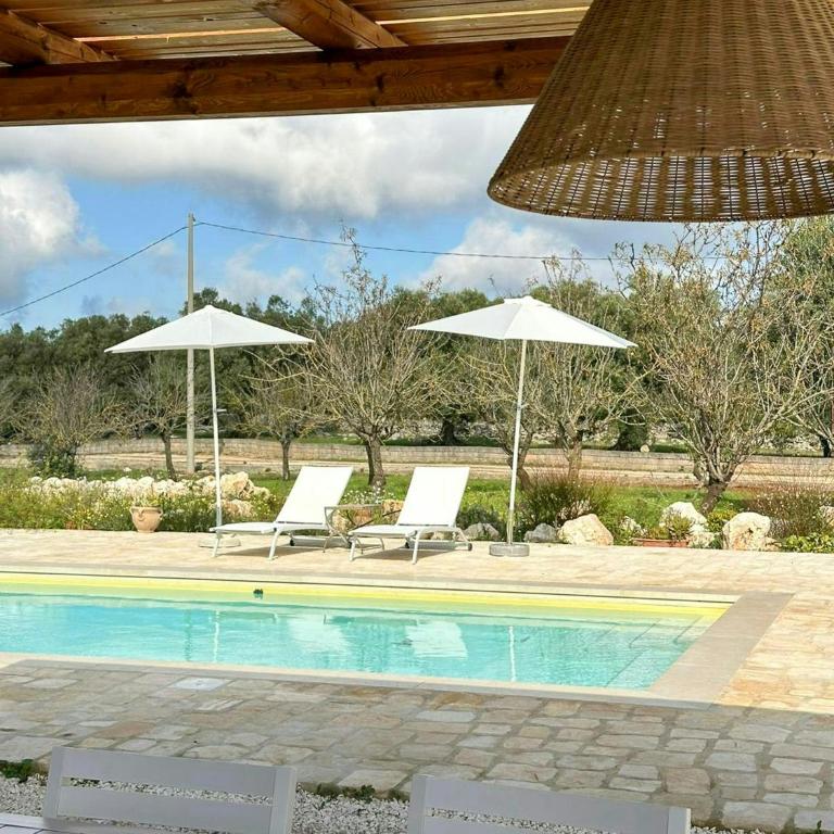 Villa among olive trees private pool and patio - Casa Vacanze - 27