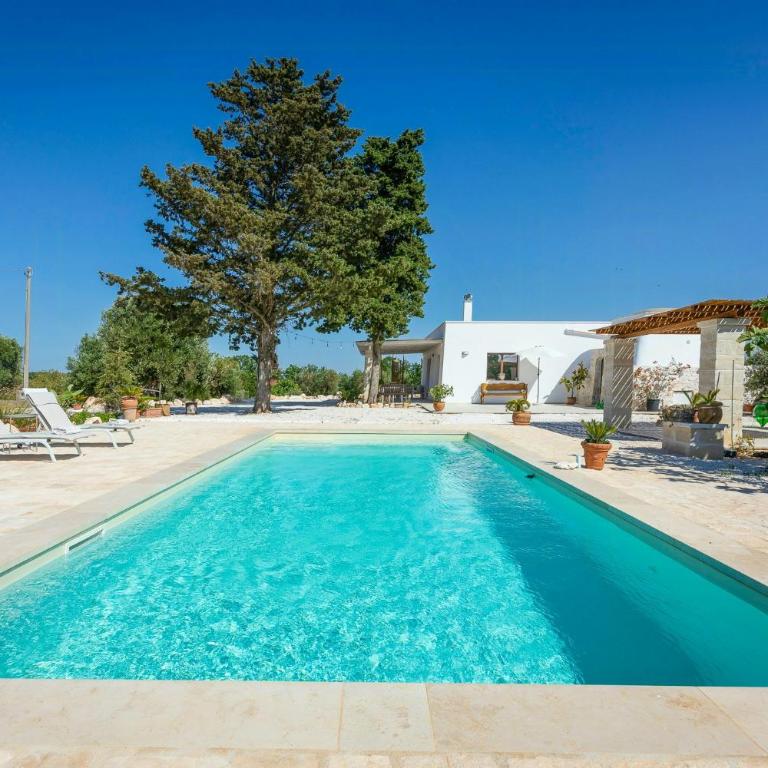 Villa among olive trees private pool and patio - Casa Vacanze - 26
