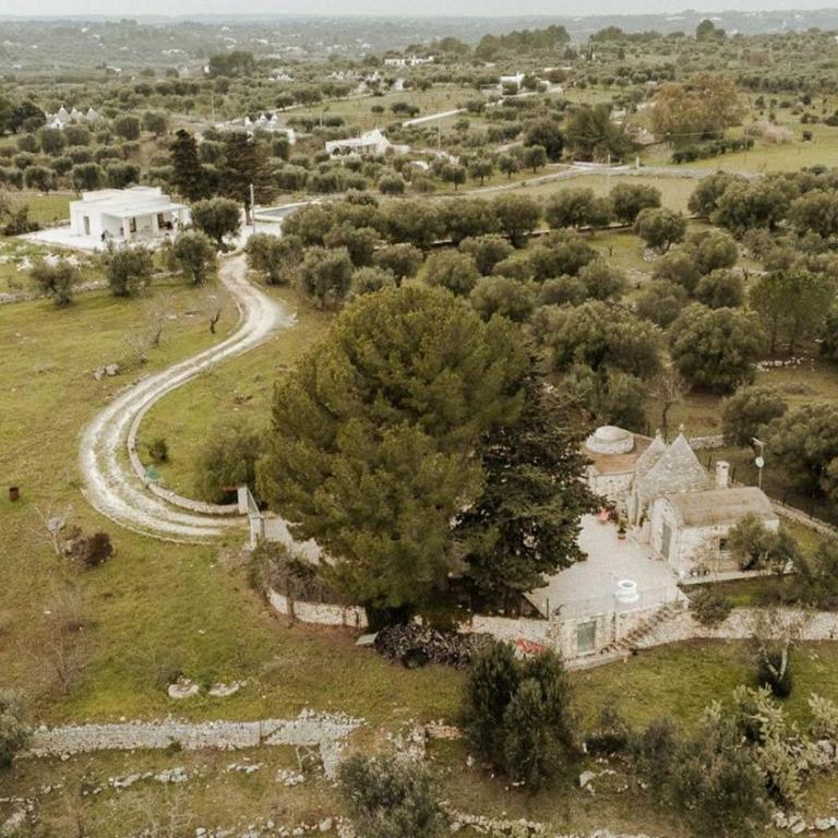 Villa among olive trees private pool and patio - Casa Vacanze - 39