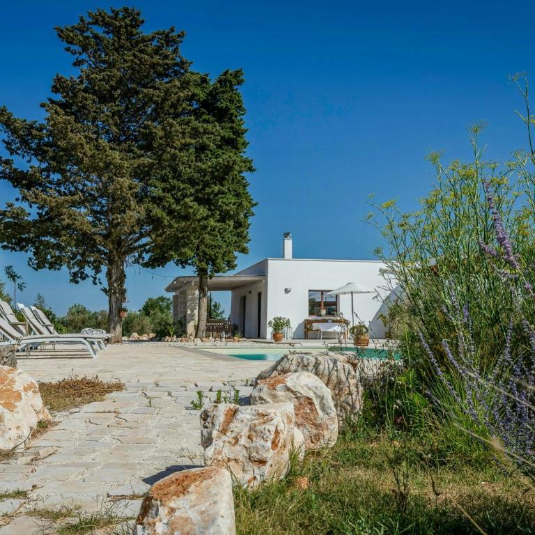 Villa among olive trees private pool and patio - Casa Vacanze - 33