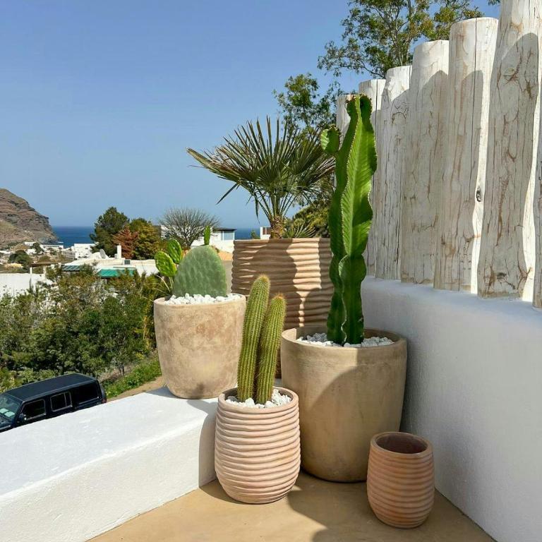 Mediterranean-style house in Cabo de Gata - Casa Vacanze - 30