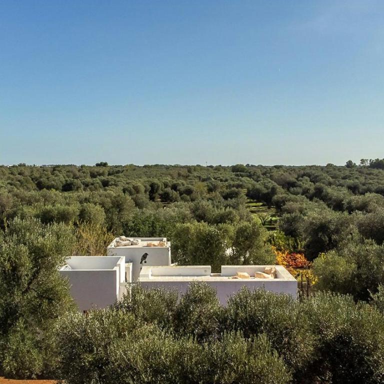 Trullo with courtyard and olive tree in Puglia - Casa - 1