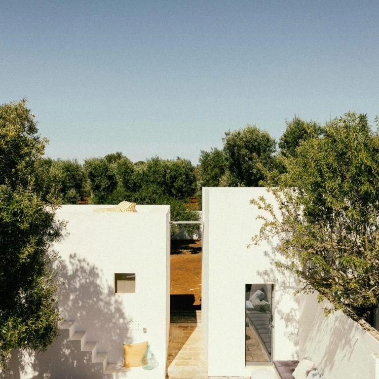 Trullo with courtyard and olive tree in Puglia - Casa - 4