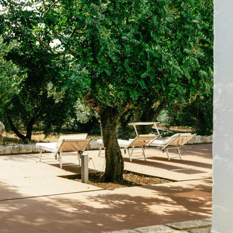 Trullo with courtyard and olive tree in Puglia - Casa - 28