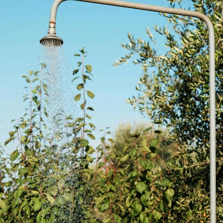 Trullo with courtyard and olive tree in Puglia - Casa - 34