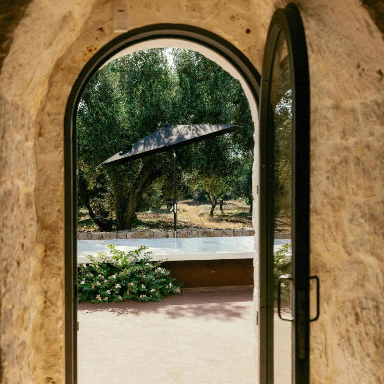 Trullo with courtyard and olive tree in Puglia - Casa - 32