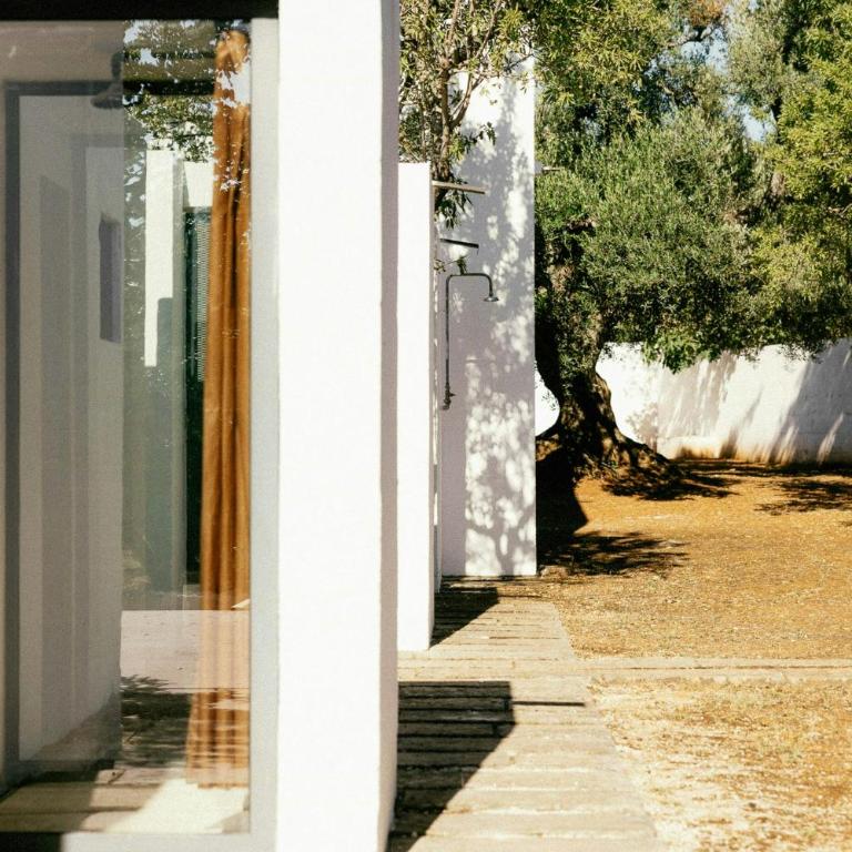 Trullo with courtyard and olive tree in Puglia - Casa - 31