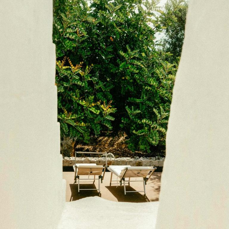 Trullo with courtyard and olive tree in Puglia - Casa - 29