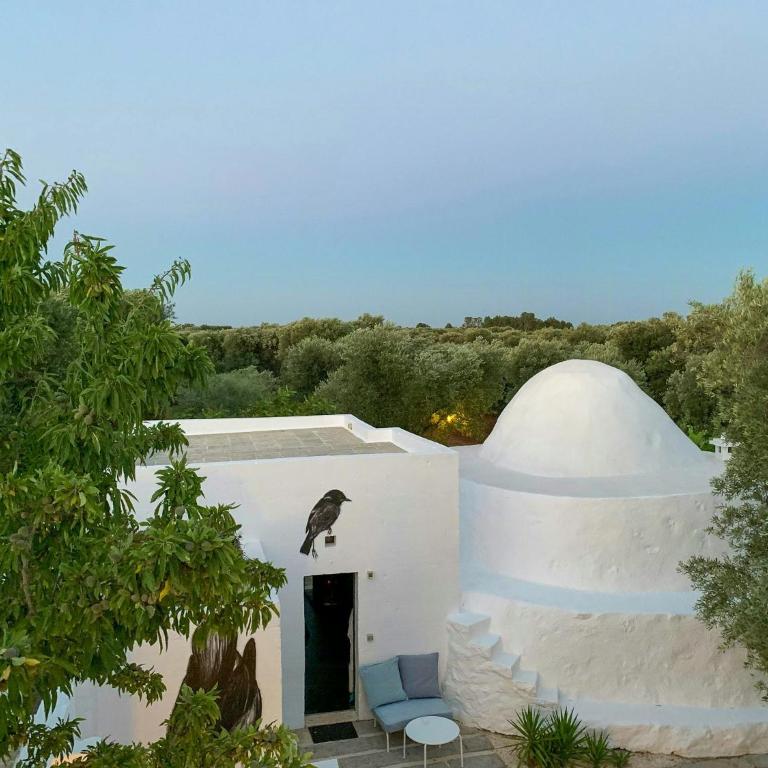 Trullo with courtyard and olive tree in Puglia - Casa - 41