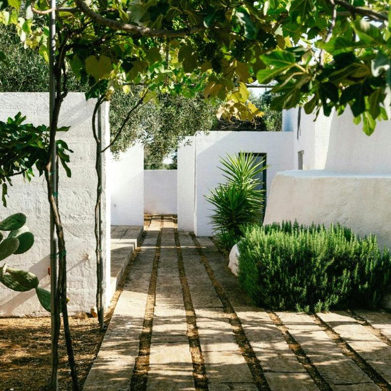 Trullo with courtyard and olive tree in Puglia - Casa - 37
