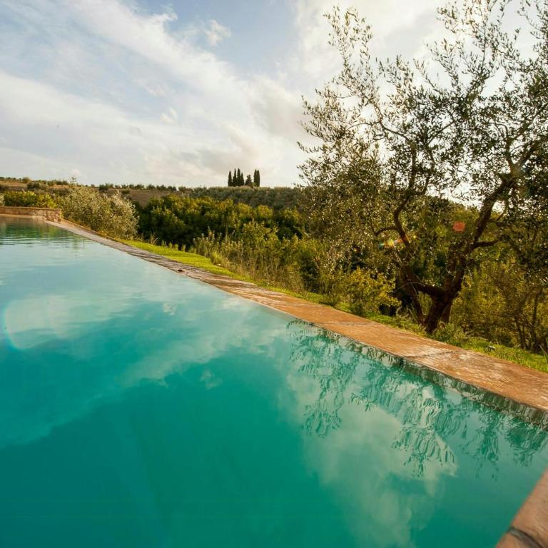Chianti hills Villa with swimming pool - Appartamento - 24