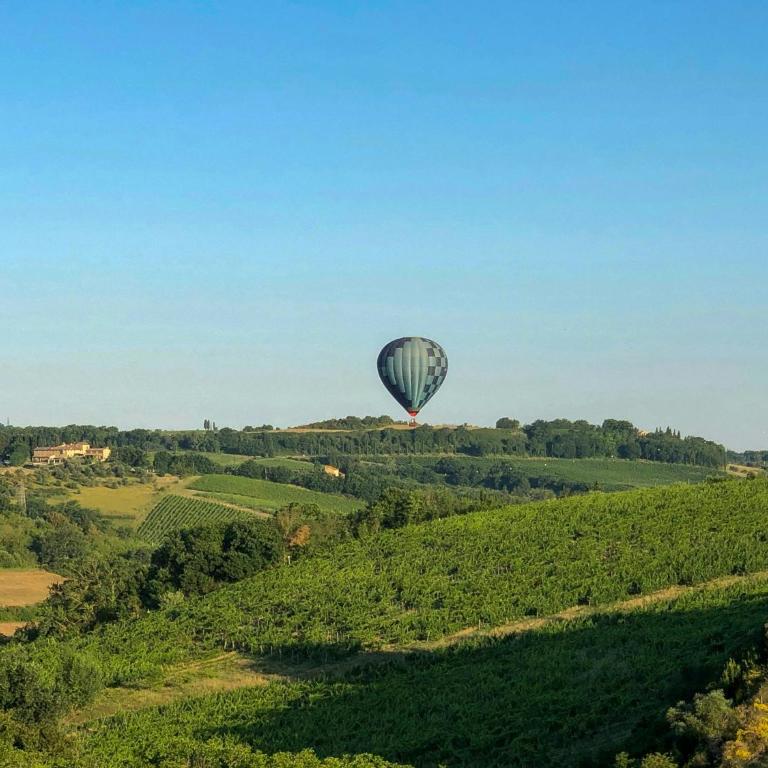 Chianti hills Villa with swimming pool - Appartamento - 31