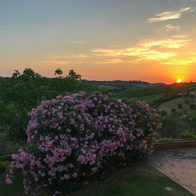 Chianti hills Villa with swimming pool - Appartamento - 38