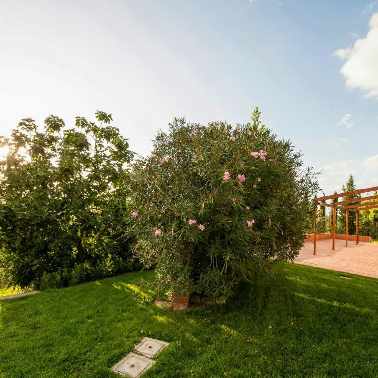 Chianti hills Villa with swimming pool - Appartamento - 33