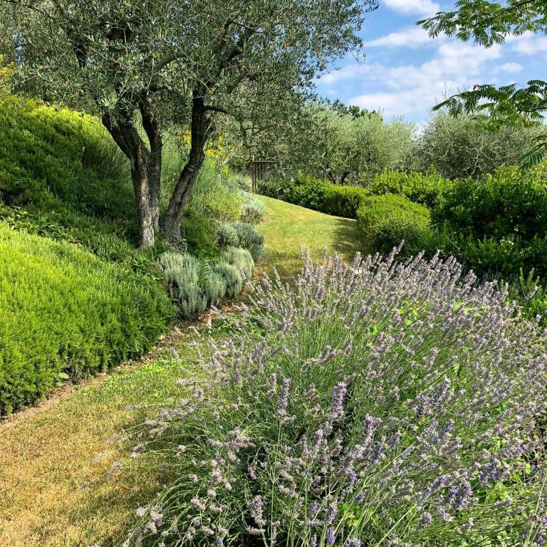 Chianti hills Villa with swimming pool - Appartamento - 36