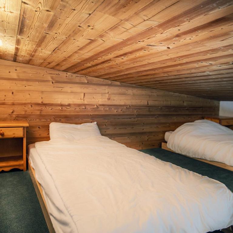 Superbe appartement au centre, proche pistes & commerces, 6 pers, WIFI - Appartement 1 Chambre - 9