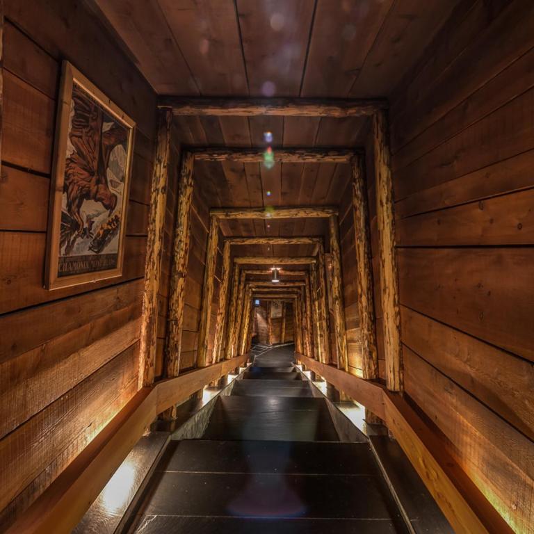 Chalet de luxe 5 chambres, non fumeur, parking inclus - Chalet 3 Chambres - 23