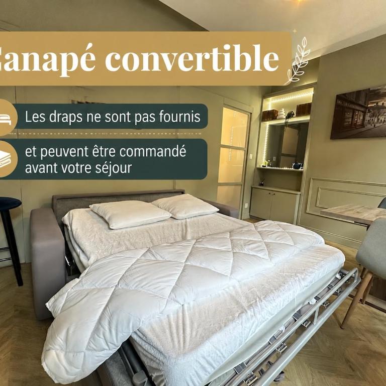 N Sur la Place Romantique Balneo in Nancy - Appartement 1 Chambre - 19