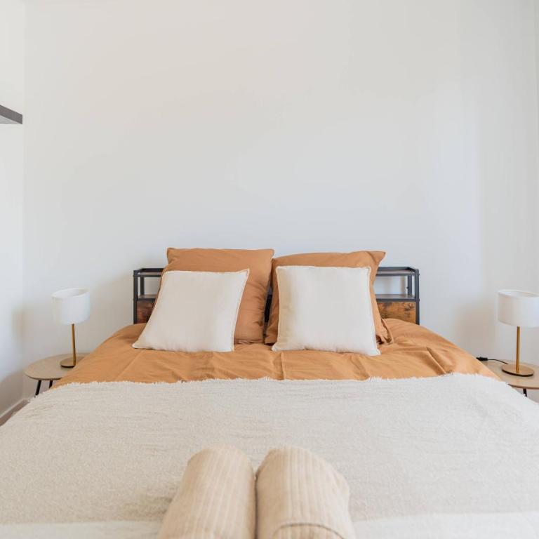 Apartment T3 bis City center Thermal spa Aix les bains - Appartement 2 Chambres - 1