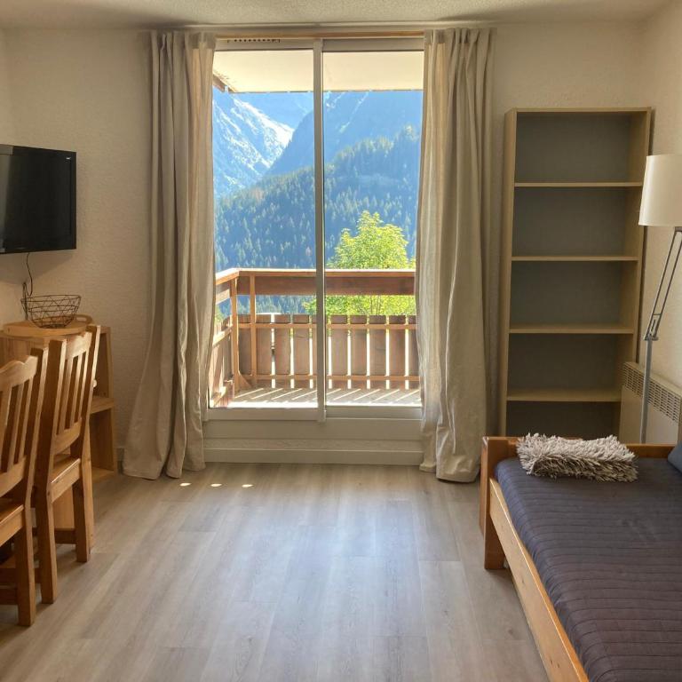 Appartement 6 pers, 1 cabine, au pied des pistes, balcon, ascenseur - Appartement 1 Chambre - 1