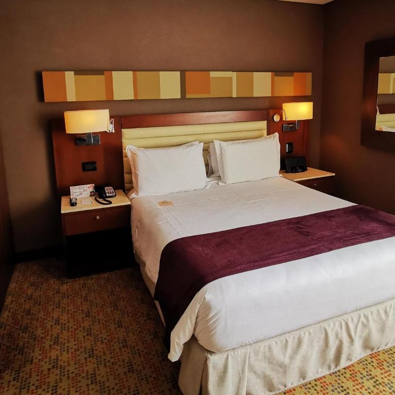 Mercure Bogota Calle 100 - Habitación Estándar - 1 cama grande - 6