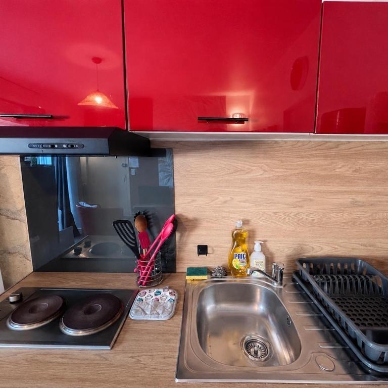 Le Clos des Baleines RDC avec jardin et 1 place de parking privée dans un garage - Appartement 1 Chambre - 9