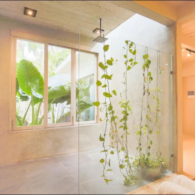 OMA Cancun, Holistic Healing Center - Suite Deluxe con cama extragrande - 10