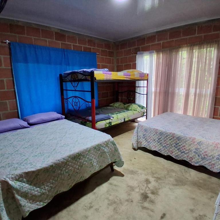 LAS ORQUIDEAS - Casa - 37